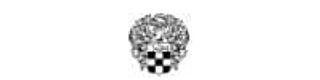 Vince Camuto logo