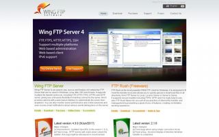 Wing FTP Server logo