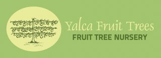Yalca Fruit Trees logo